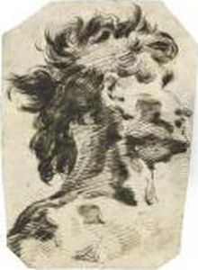 Recto: Head Of A Man, Turned To The Right