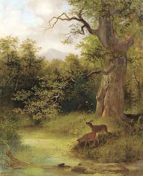 Deer in a park - view 1