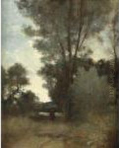 Cavalier A L'oree D'un Bois