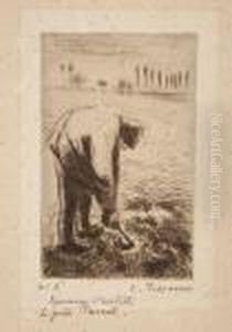 Pere Pascal