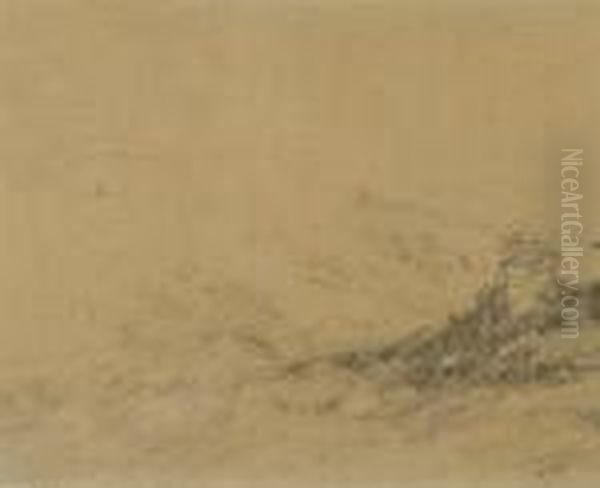 Landscape - view 1