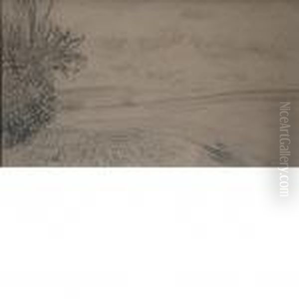 Landscape - view 1