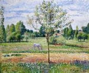 The Meadow With The Grey Horse, Eragny
