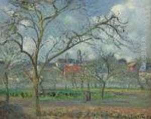 Verger A Saint-ouen-l'aumone En Hiver