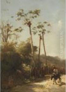 Paysage Des Antilles, Cavalier Et Ne Sur Un Chemin