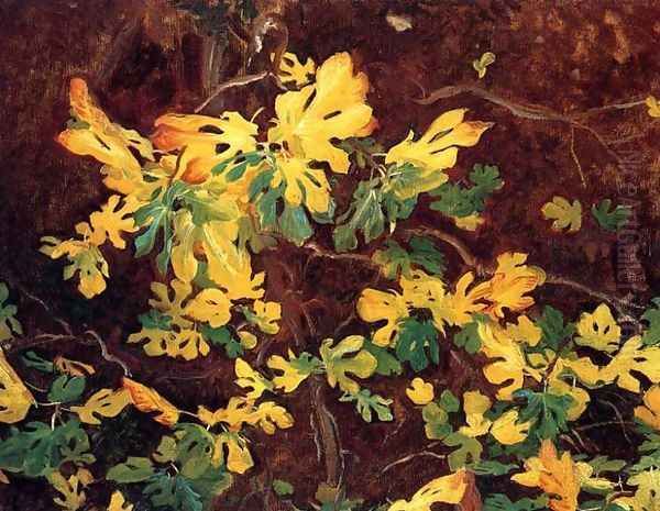 Study Of A Fig Tree - view 1