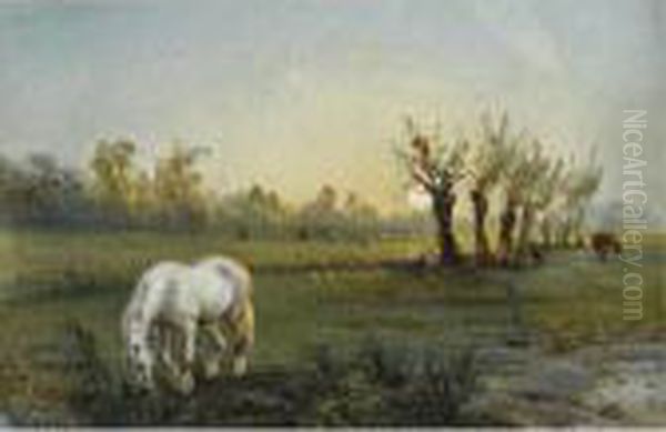 Cheval Blanc Dans Un Pre - view 1