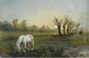 Cheval Blanc Dans Un Pre
