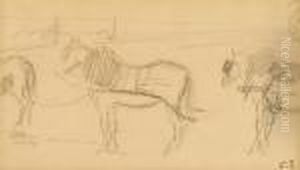 Carriage Horses