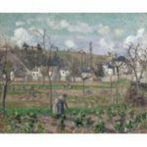 Le Jardin De Maubuisson, Pontoise, La Mere Belette by Camille Pissarro