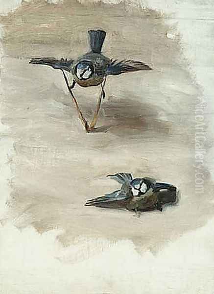 Study of a Dead Bird - view 1