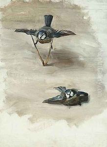 Study of a Dead Bird