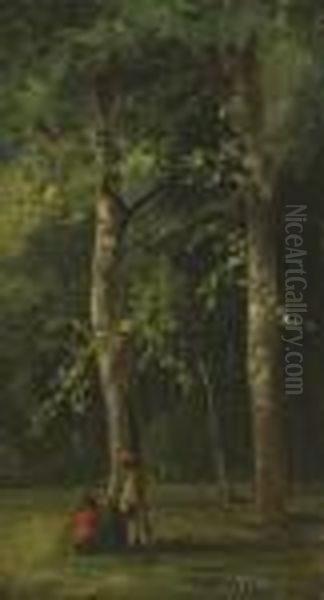 Sous-bois - view 1