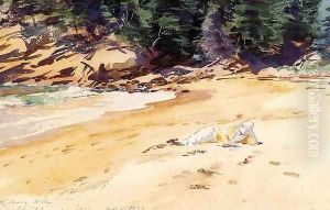 Sand Beach, Schooner Head, Maine by John Singer Sargent