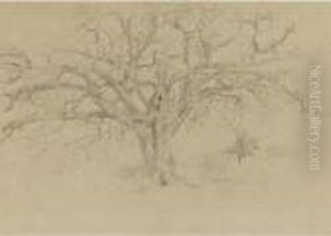 Paisaje De Venezuela, Saman by Camille Pissarro