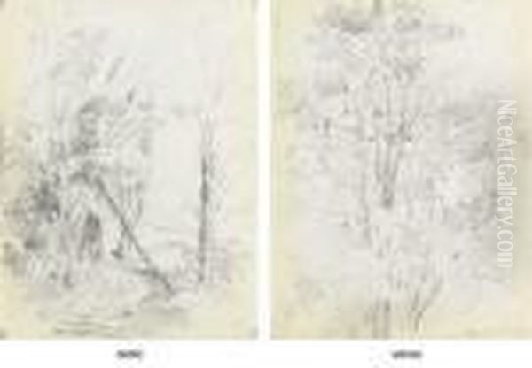 Trees In A Forest (recto); A Forest With Banana Trees - view 1