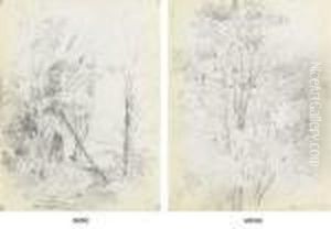Trees In A Forest (recto); A Forest With Banana Trees by Camille Pissarro
