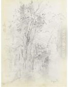 A Forest With A Seated Figure In The Foreground