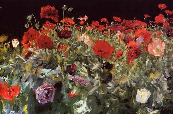 Poppies - view 1