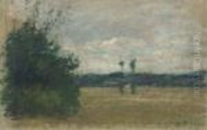 Paysage Paysage