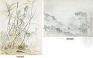 A Group Of Palm Trees (recto); An Extensive Mountainous Landscape(verso)
