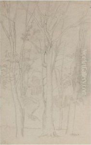Les Grands Arbres