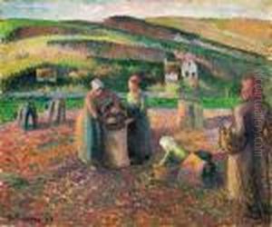 La Recolte Des Pommes De Terre by Camille Pissarro