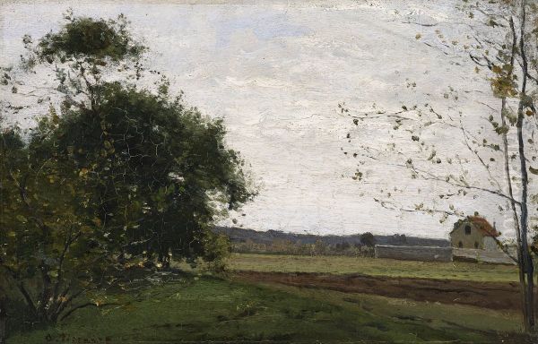 Landscape - view 1