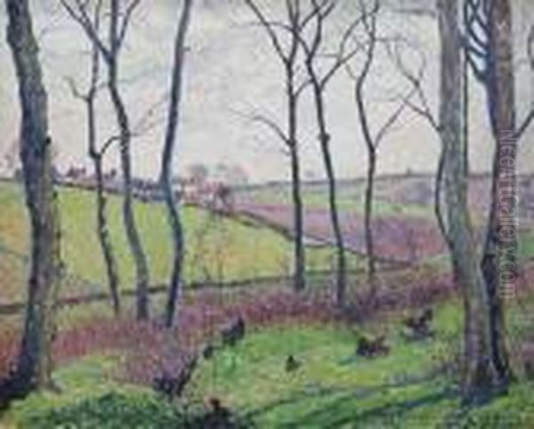 Landscape Through Trees, Tilty Wood - view 1