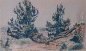 Cold Harbour - Self Sewn Pines