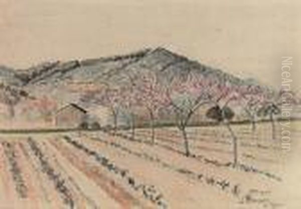Le Lavandou, Les Vignes - view 1