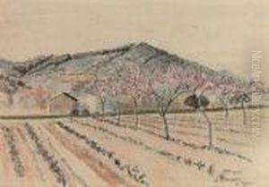 Le Lavandou, Les Vignes by Lucien Pissarro