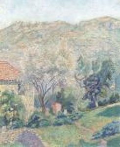 Campagne Orovida: Fenouils Et Amandier