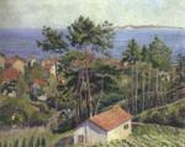 Lavandou Avec Mer Bleue - view 1
