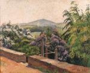 The Postesses (lilac And Laburnum), East Knoyle