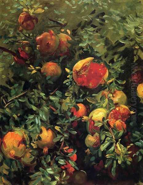 Pomegranates - view 1
