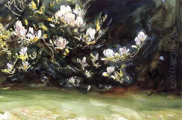 Magnolias - view 1