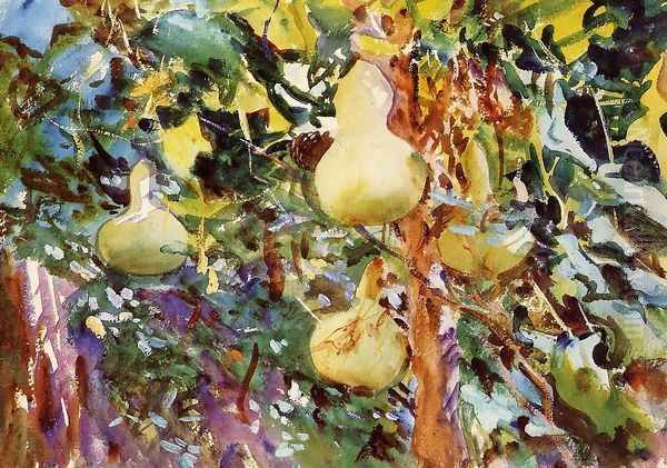 Gourds - view 1