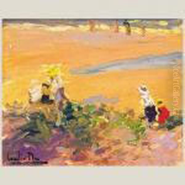 Paisaje - view 1
