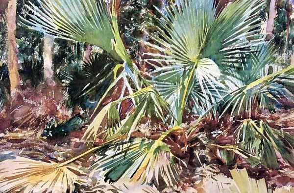 Palmettos, Florida - view 1