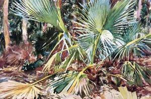 Palmettos, Florida by John Singer Sargent