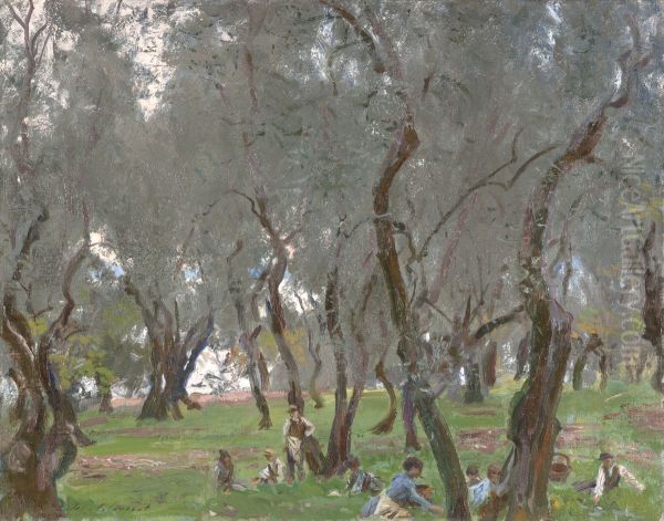 The Olive Grove - view 1