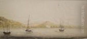 Ships Anchored In A Bay