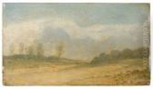 Paysage Paysage