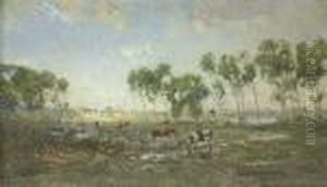 Vaches Dans Les Marais