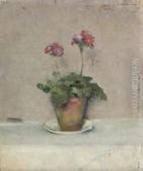 Primeveres Roses Dans Un Pot De Terre - view 1