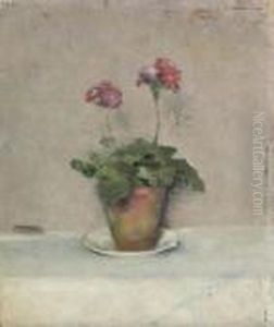 Primeveres Roses Dans Un Pot De Terre Primeveres Roses Dans Un Pot De Terre
