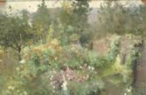 Vue De Ma Chambre Sur Notre Jardin