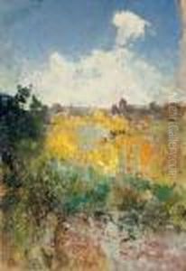 Summer Landscape Summer Landscape