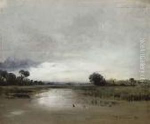 Marshland At Dusk